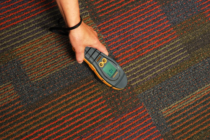 Protimeter Surveymaster Carpet_1